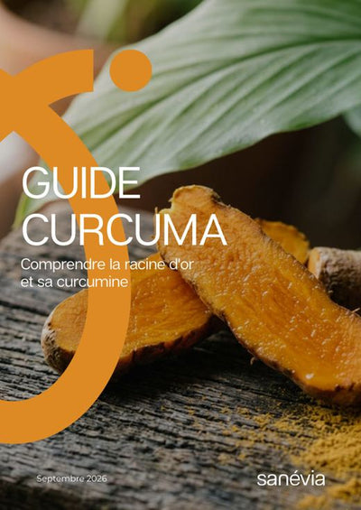 Guide Curcuma : Comprendre la racine d'or et sa curcumine