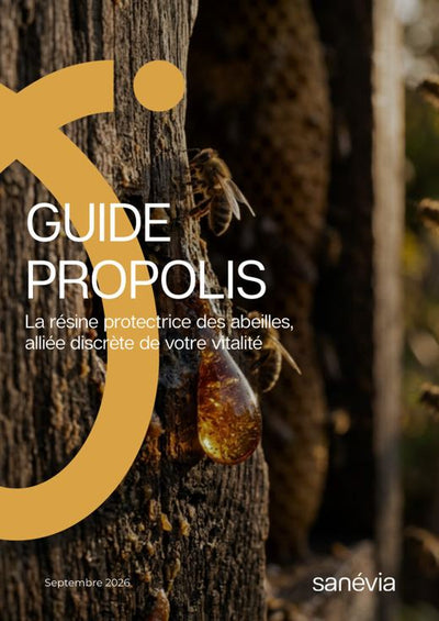 Guide Propolis : La résine protectrice des abeilles, alliée discrète de votre vitalité