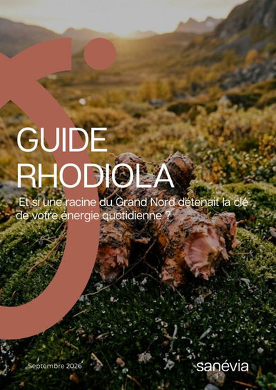 Guide Rhodiola : Et si une racine du Grand Nord détenait la clé de votre énergie quotidienne ?