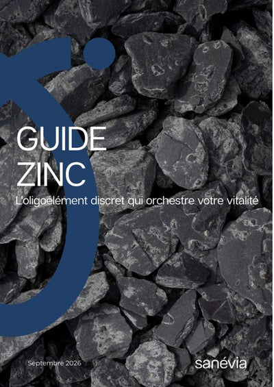 Guide Zinc : L'oligoélément discret qui orchestre votre vitalité