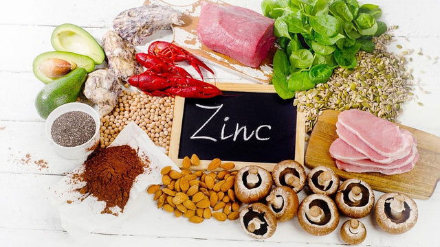 Le rôle du zinc dans l'organisme : immunité, peau, ADN et perception des saveurs