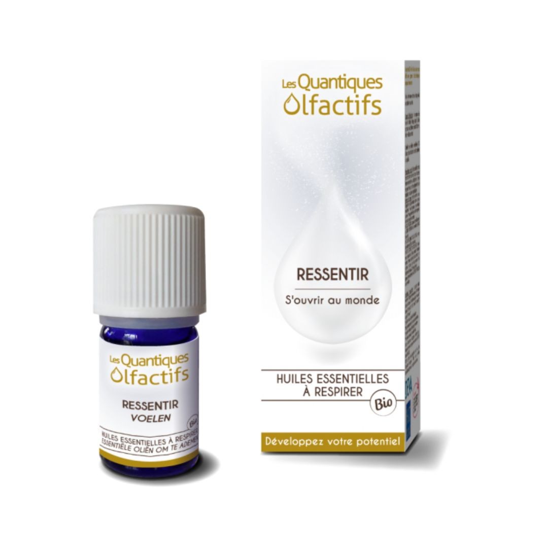 Quantique Olfactif Ressentir