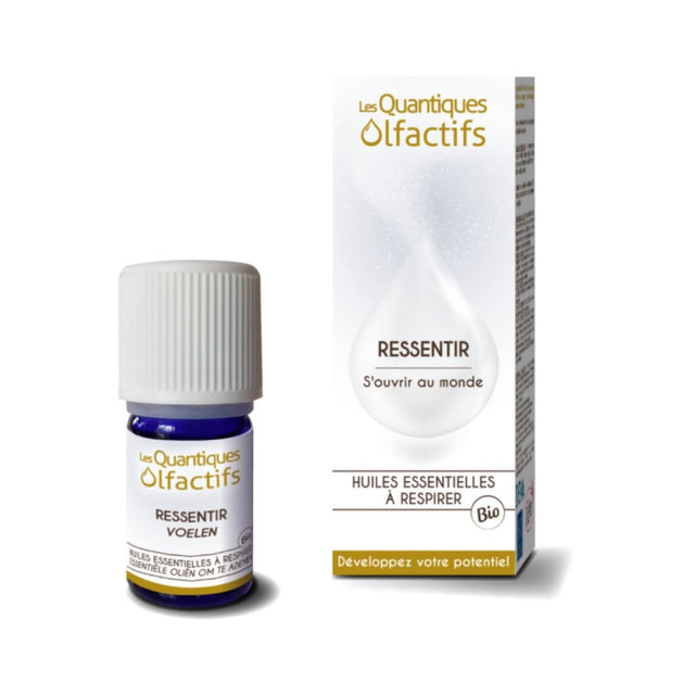 Quantique Olfactif Ressentir