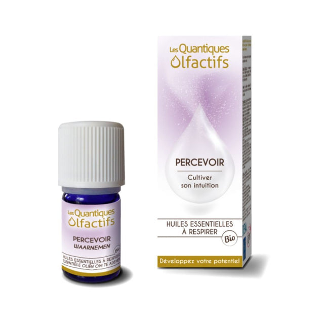 Quantique Olfactif Percevoir