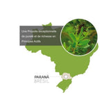 Propolis Verte Bio 60 gélules