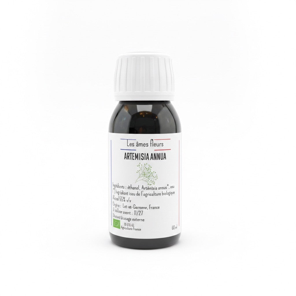 Extrait hydro-alcoolique Artemisia Annua Bio 60ml