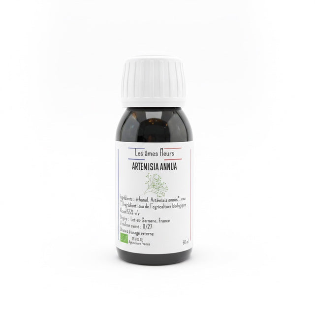 Extrait hydro-alcoolique Artemisia Annua Bio 60ml