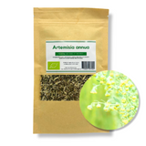 Artemisia Annua Bio vrac 35g