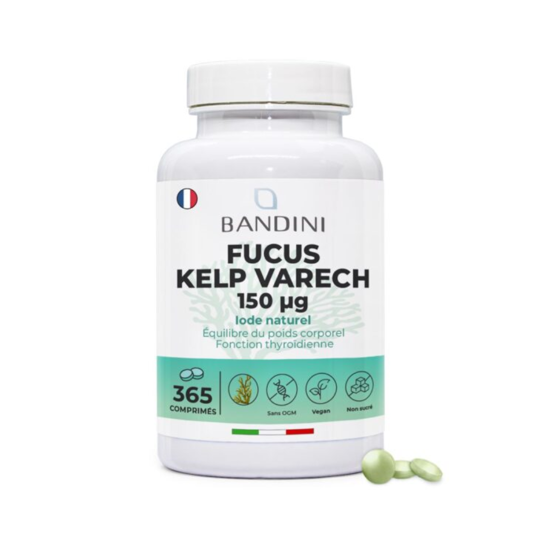 Fucus Algue Varech