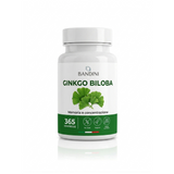 Ginkgo Biloba