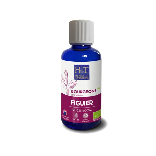 Bourgeons de Figuier bio Herbes et Traditions, 50 ml