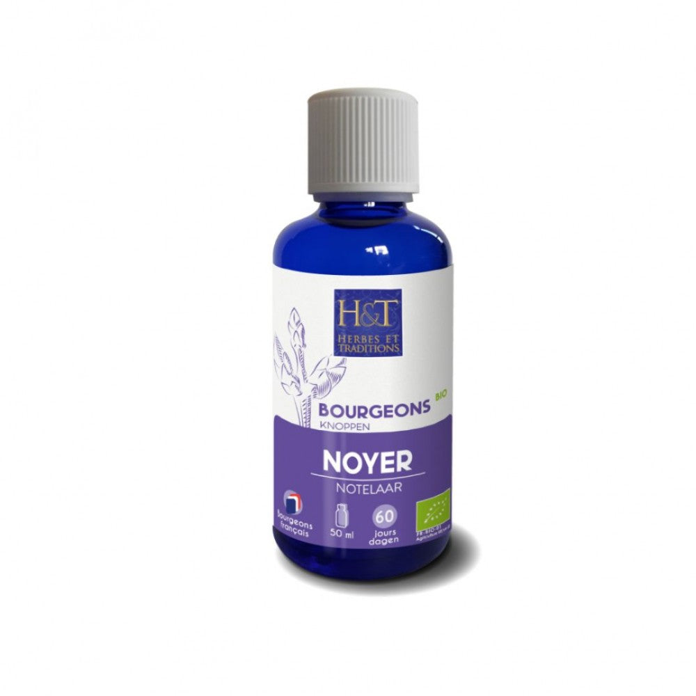 Bourgeons Noyer bio Herbes et Traditions, 50 ml