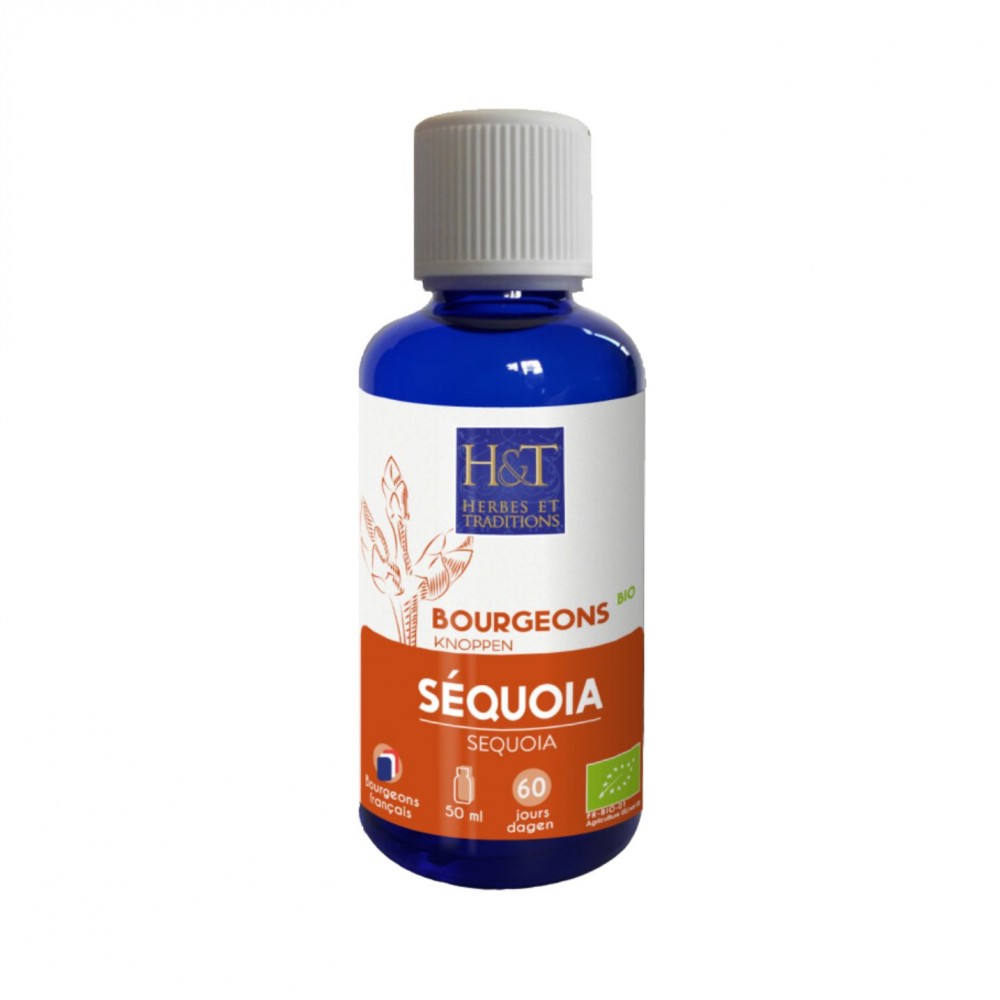 Bourgeons Séquoia bio Herbes et Traditions, 50 ml